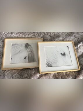 Set of 2 11x14 gold framed matted Nordic Horse prints